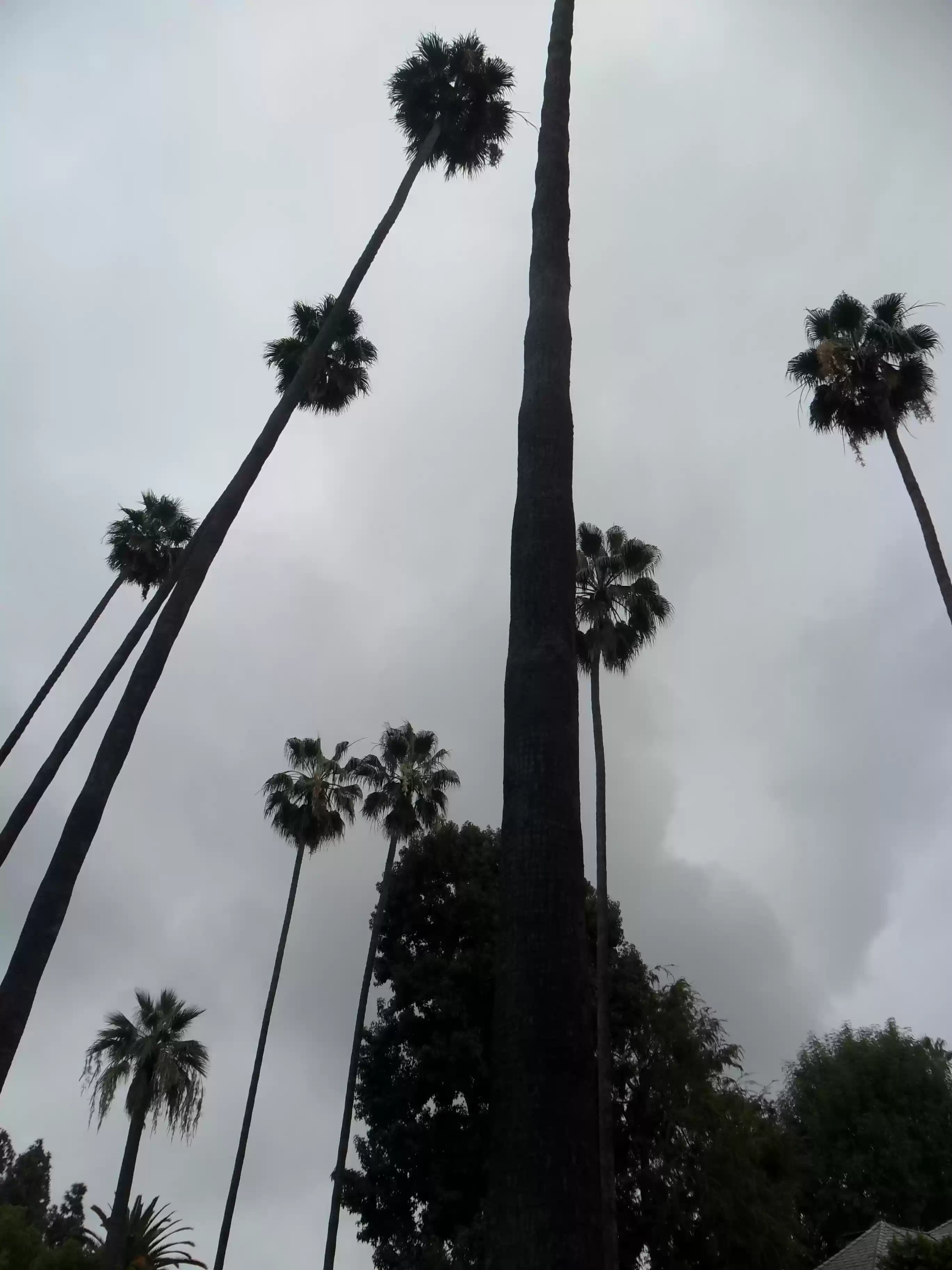 SAM_0920